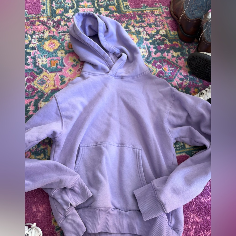 Aritzia tna cozy hoodie